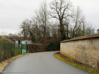 1050076-wm.jpg