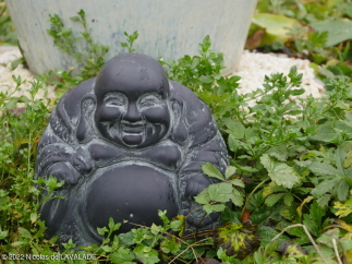 1050143-wm.jpg