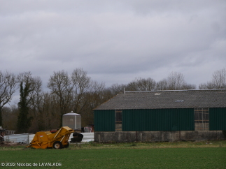 1050248-wm.jpg