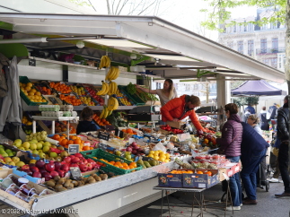 1050502-wm.jpg