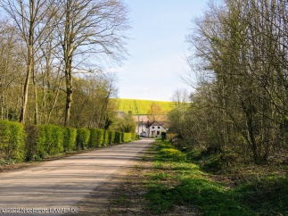 1050932-wm.jpg