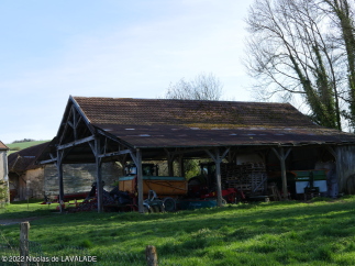 1050935-wm.jpg