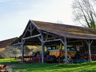 1050936-wm.jpg