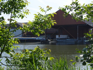 1060481-wm.jpg