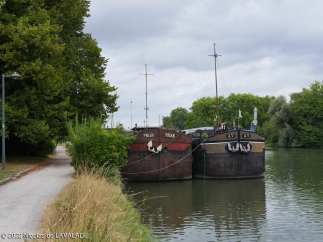 1090600-wm.jpg