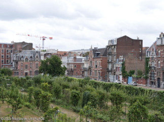 1090618-wm.jpg