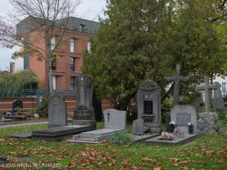 1090978-wm.jpg