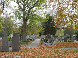 1090980-wm.jpg