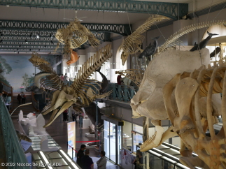 P1010656-wm.jpg
