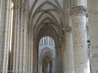 P1090230-wm.jpg
