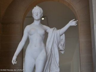 P1090455-wm.jpg
