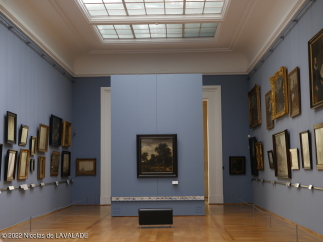 P1090531-wm.jpg