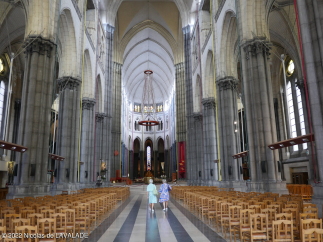 P1090592-wm.jpg